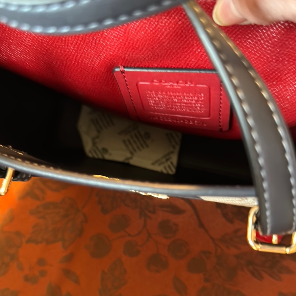 Coach Multicolor Striped Women's Bag - Picture 4 of 16